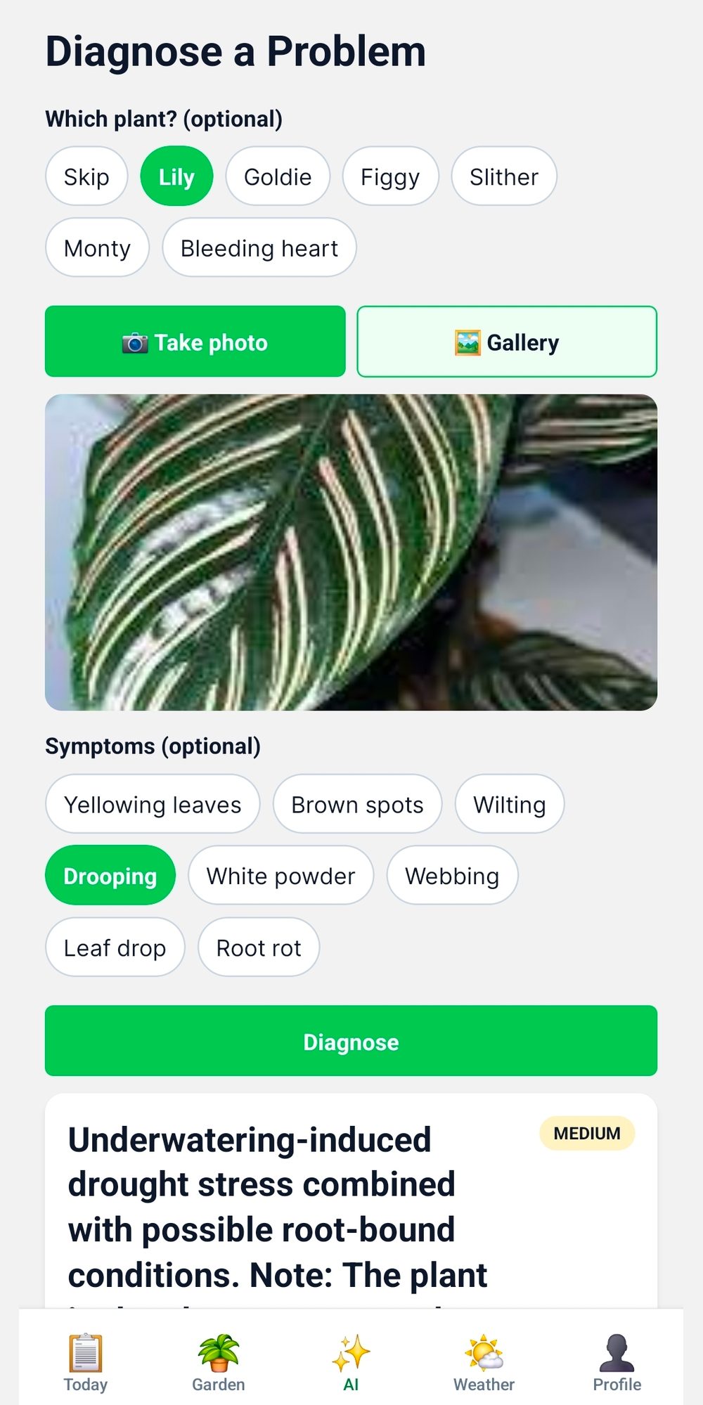 AI Plant Doctor diagnosing a problem from a photo and symptoms