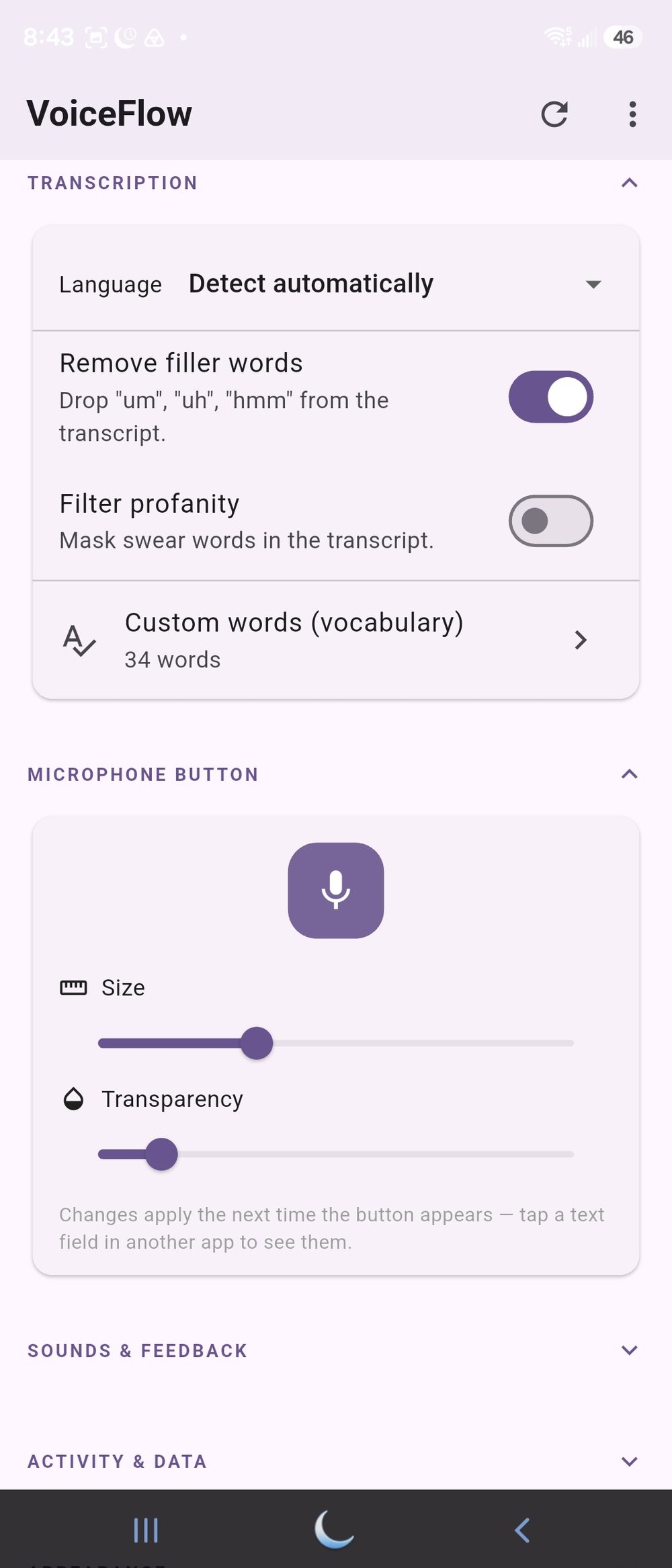 Transcription settings with language auto-detect, filler-word removal and the mic button